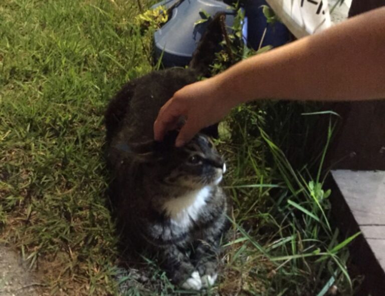 about qullnowisfap products