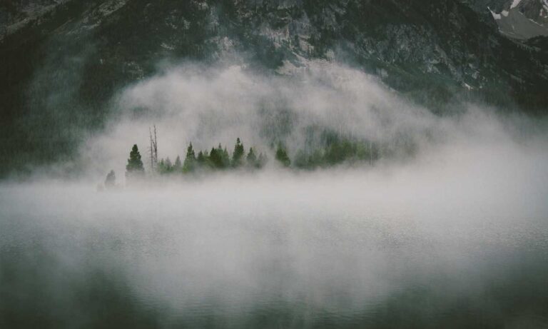 what american author has written the most books