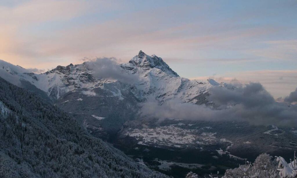 what appliances use gas in an apartment