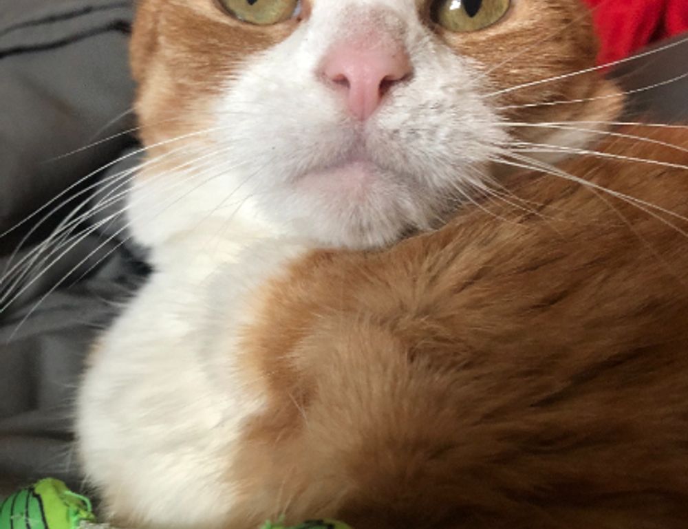 what are all of the percy jackson books