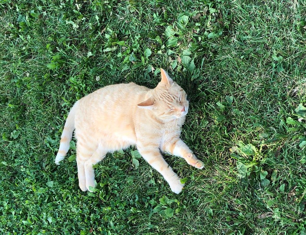 will an apartment complex deny you if you are just $300 short of the 3x the rent requirement?