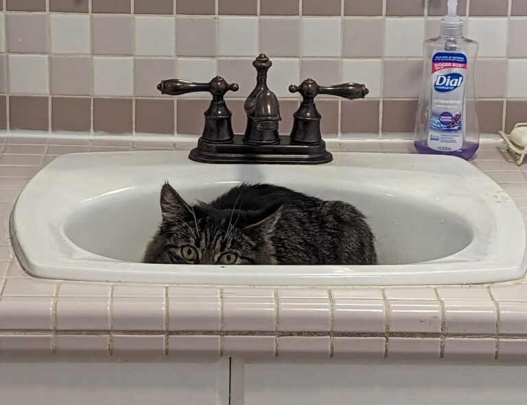 will an apartment complex deny you if you are just $300 short of the 3x the rent requirement