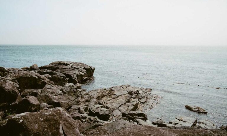 william sonoma check gift card balance