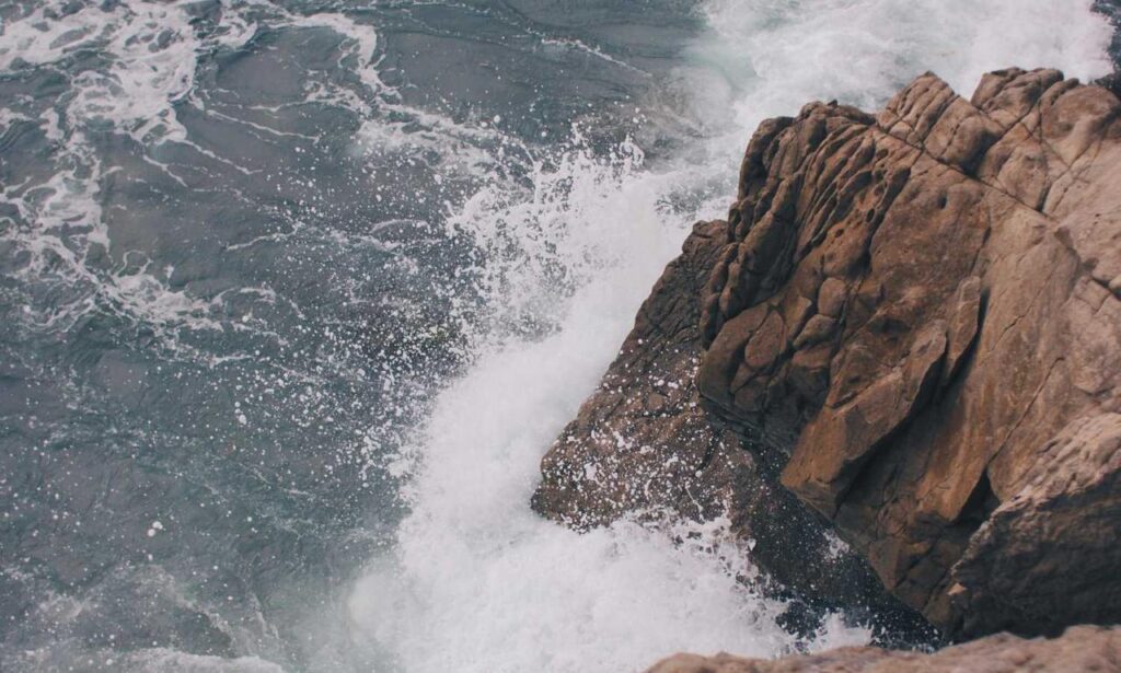 winqizmorzqux product