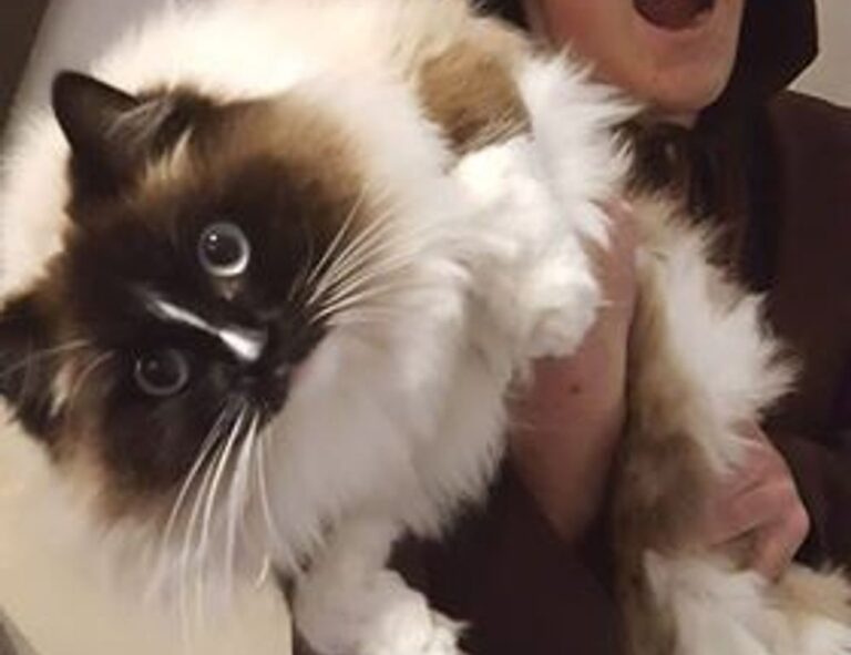 word for caring too much about others