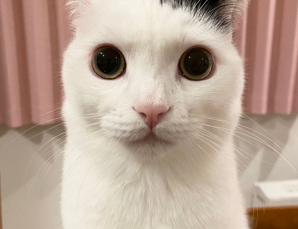 word for caring too much about others