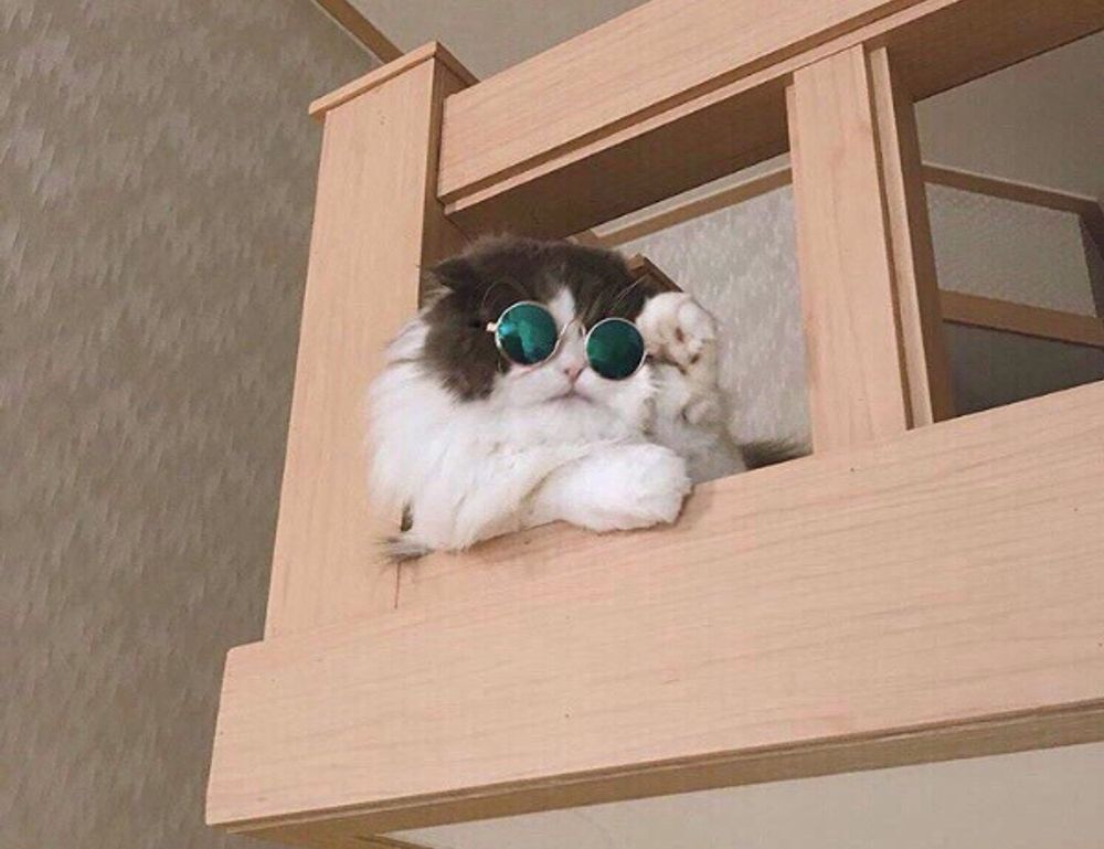 xnxubd video bokeh full bokeh lights video bokeh google earth 2021 new link japan blue.com