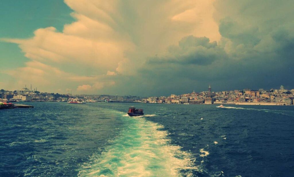 ingredients in vullkozvelex safe to use