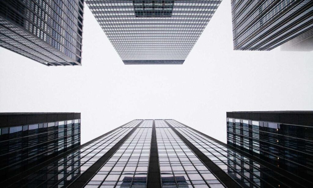 ingredients in wullkozvelex