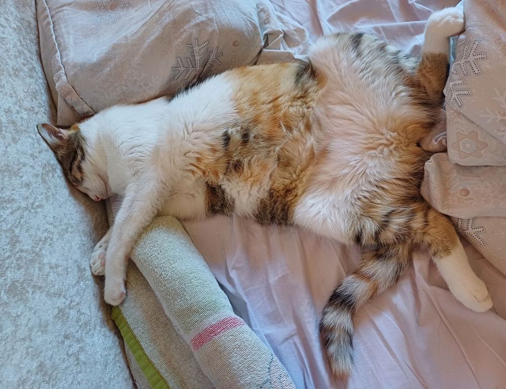 what appliances use gas in an apartment