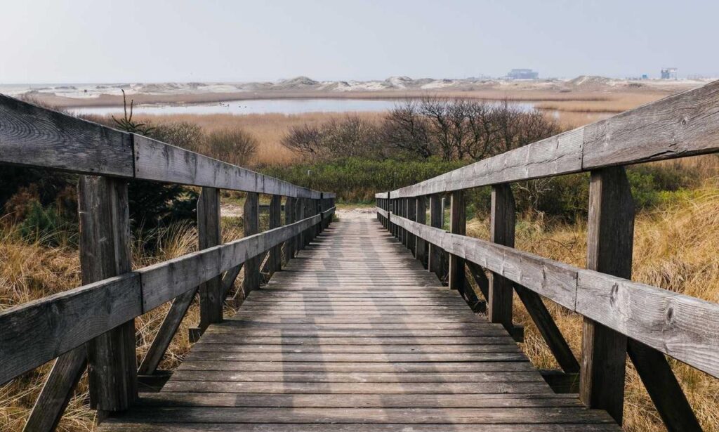 what are all of the percy jackson books