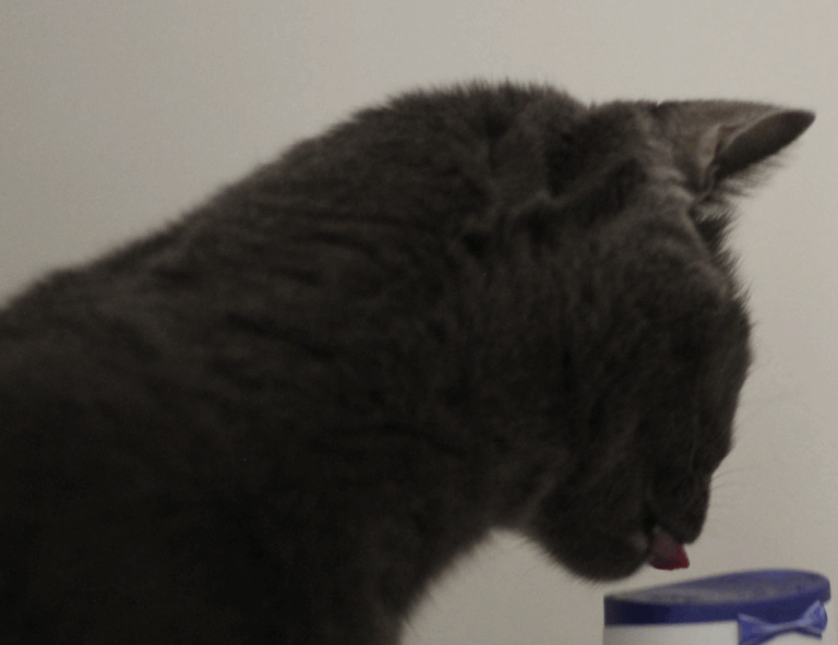 your call cannot be completed as the called party is busy