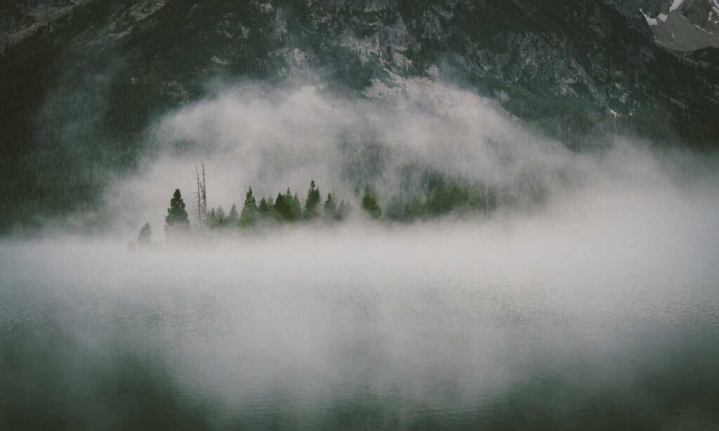 what american author has written the most books