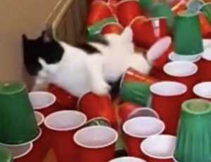 what appliances use gas in an apartment