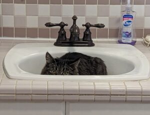 will an apartment complex deny you if you are just $300 short of the 3x the rent requirement