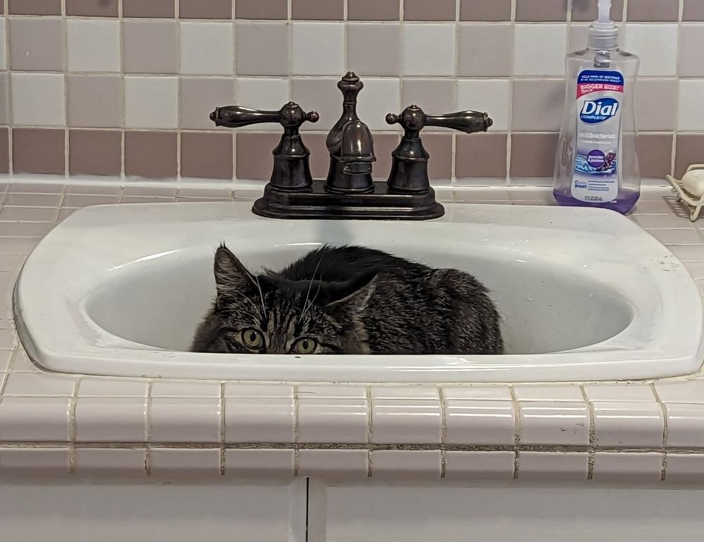 will an apartment complex deny you if you are just $300 short of the 3x the rent requirement