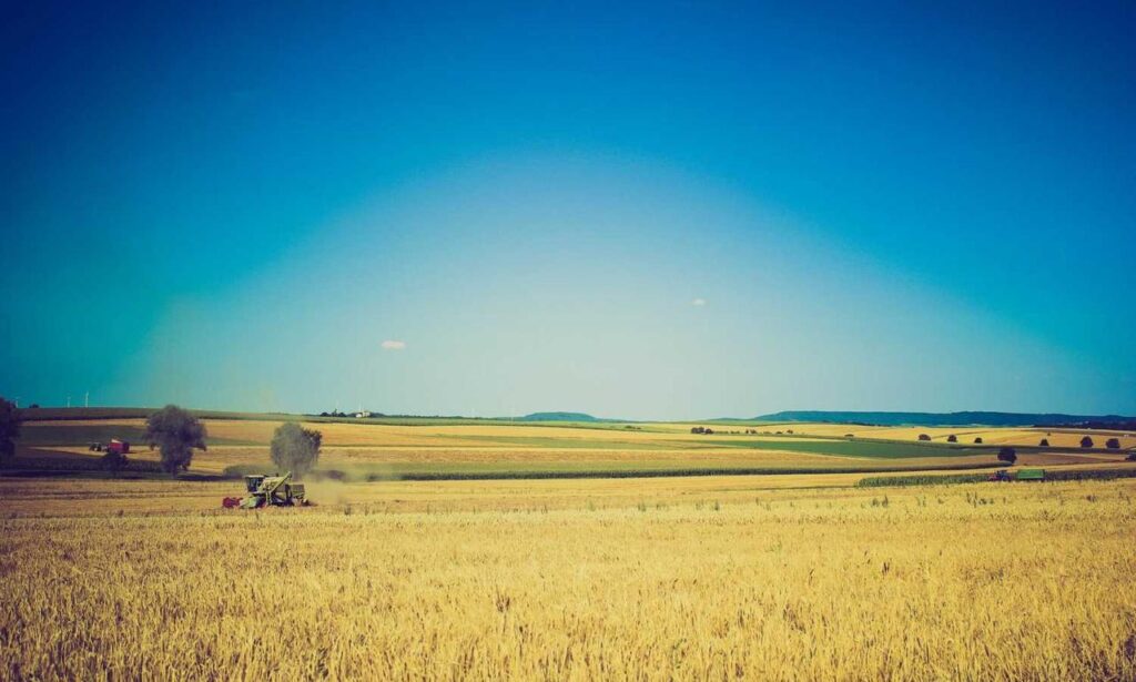 witch hazel on face side effects