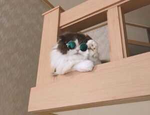 xnxubd video bokeh full bokeh lights video bokeh google earth 2021 new link japan blue.com