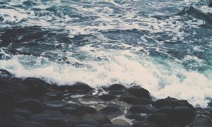 active directory logo flpcrestation