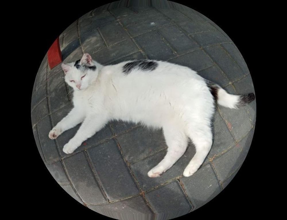 art famous articles artypaintgall