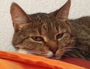 articles art artypaintgall