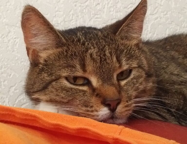 articles art artypaintgall