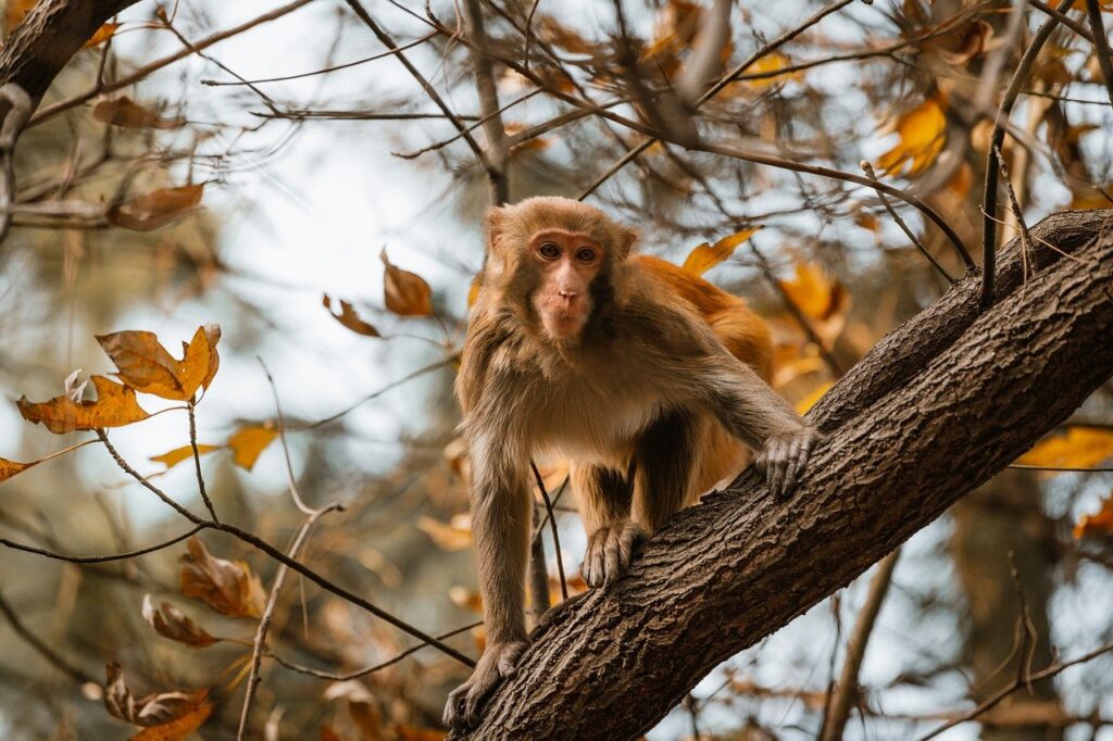 artypaintgall art gallery from arcyart