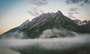 best logo dimensions flpcrestation