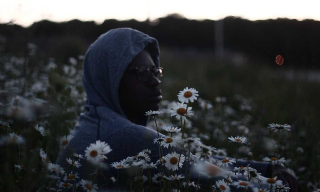 crest catalogues flpcrestation