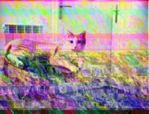 emblems flpcrestation