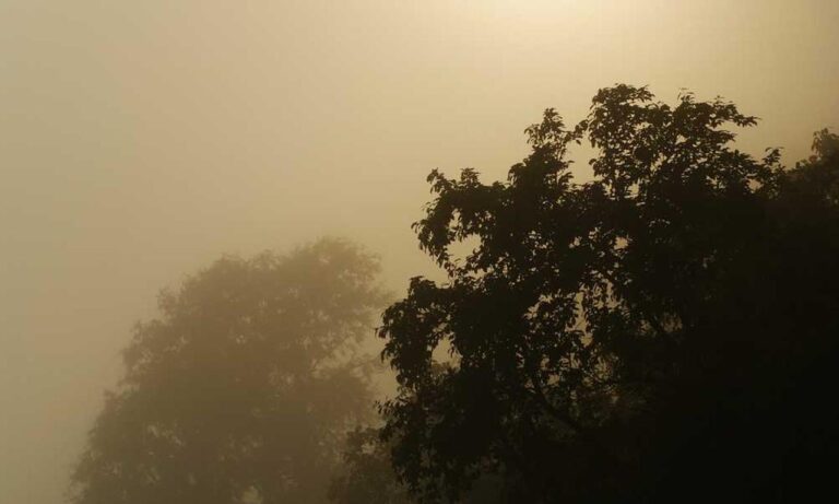 exhibitions oil paintings arcagallerdate