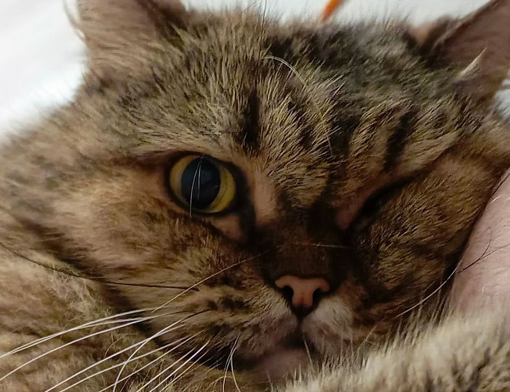 fine art infoguide artypaintgall