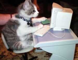 gallery arcagallerdate