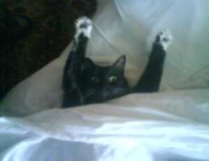 how art galleries work arcagallerdate