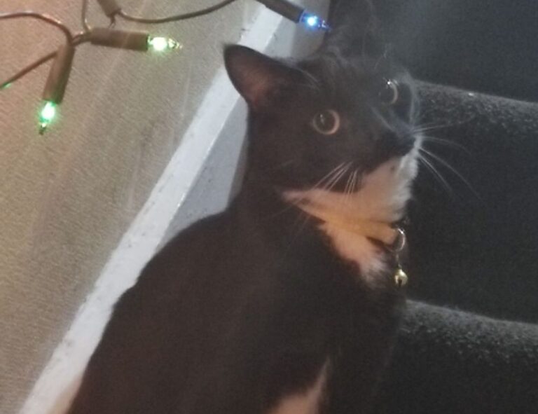 how galleries make money arcagallerdate