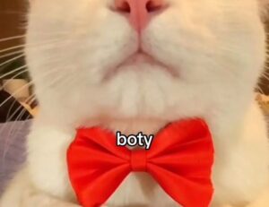 mark listings flpcrestation