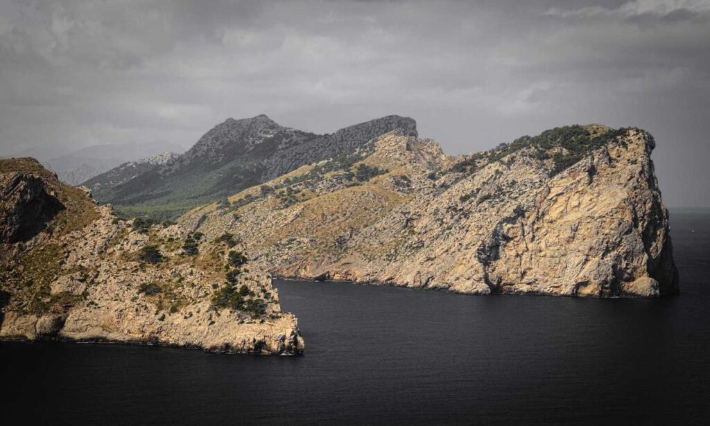 new fine art articles artypaintgall