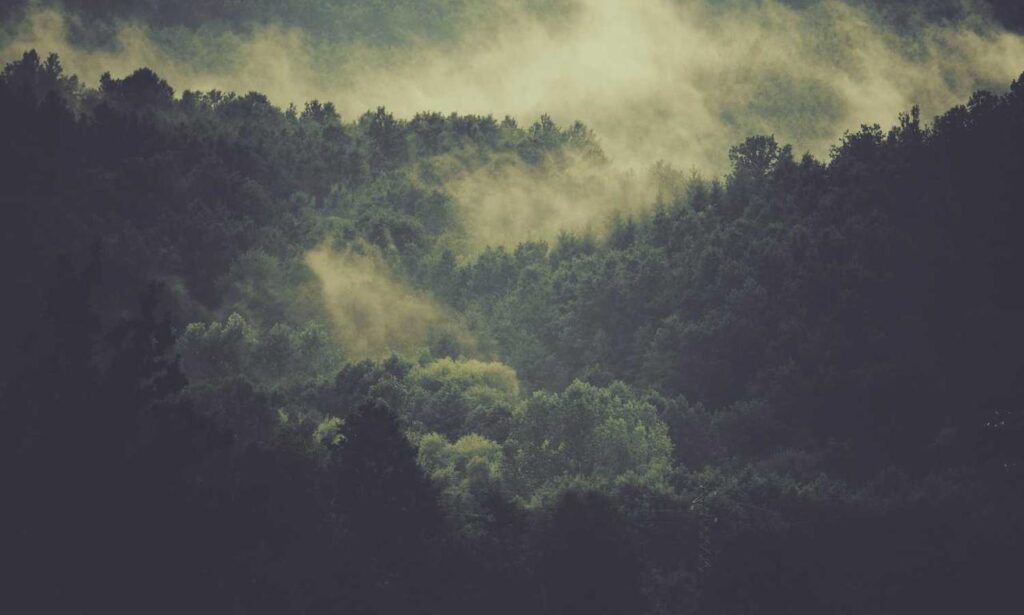 online stamps flpemblemable