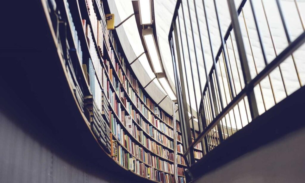 winqizmorzqux product