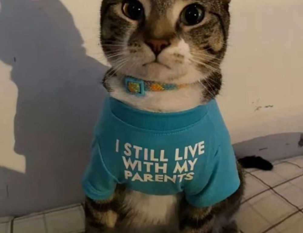 witch hazel on face side effects