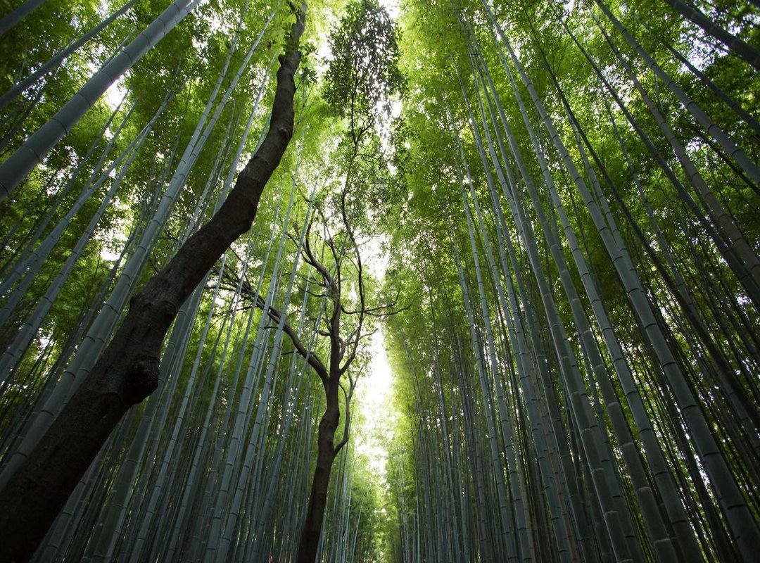 Pros and Cons: Black Joker 4K Wallpapers