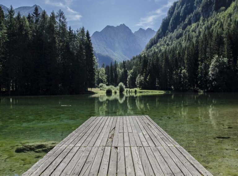 bologna fc 1909 - atalanta bergamo opstellingen