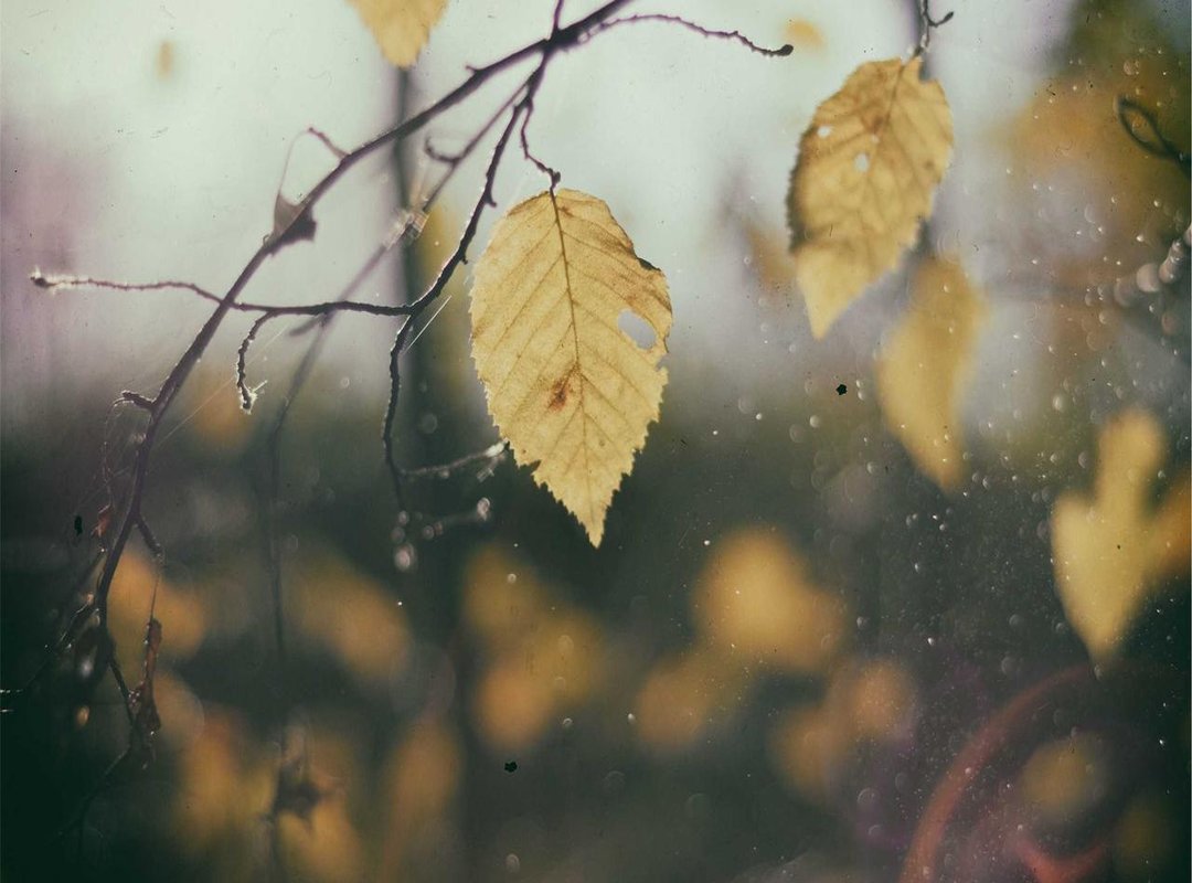 Finding Your Inspiration: Learning from Korean Celebrities and Artists