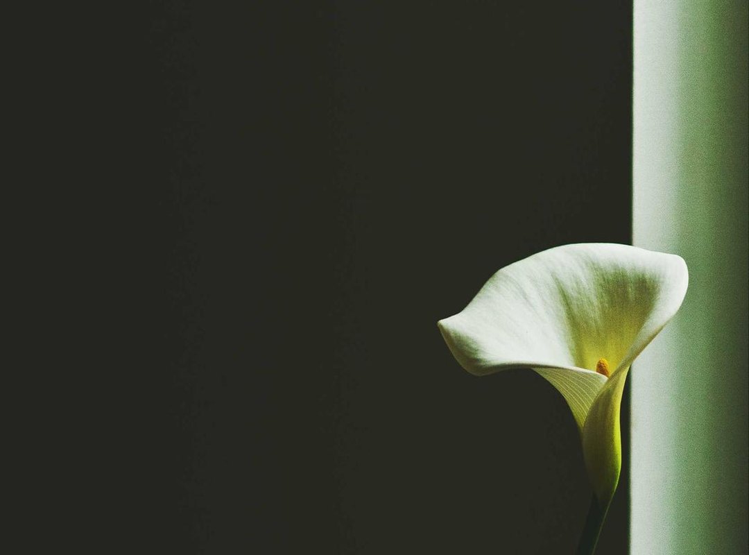 Technical Aspects: Site Safety and Device Compatibility