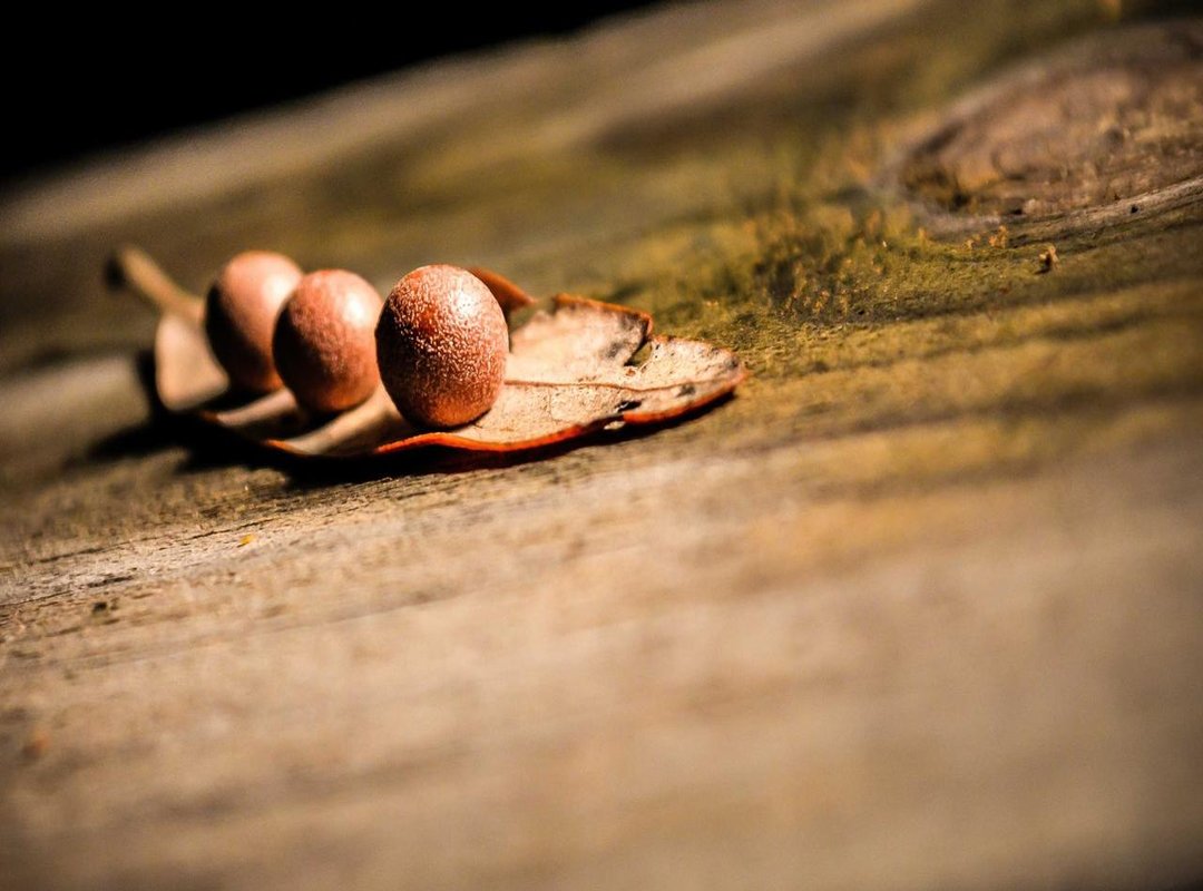 Choosing a Wallpaper That Won't Disappoint: A Quick Tech Guide