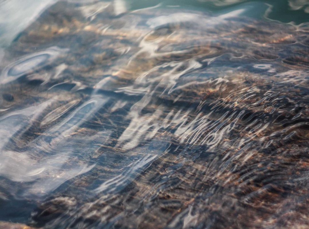 The Advertised Benefits: What Can You Realistically Expect?